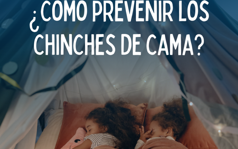 ¿Cómo prevenir los chinches de cama?